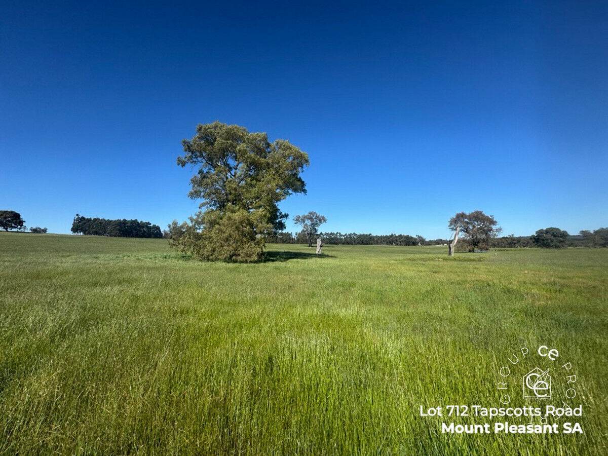 Lot 711 Tapscotts Road, Mount Pleasant For Sale by Farmbuy.com - image 21