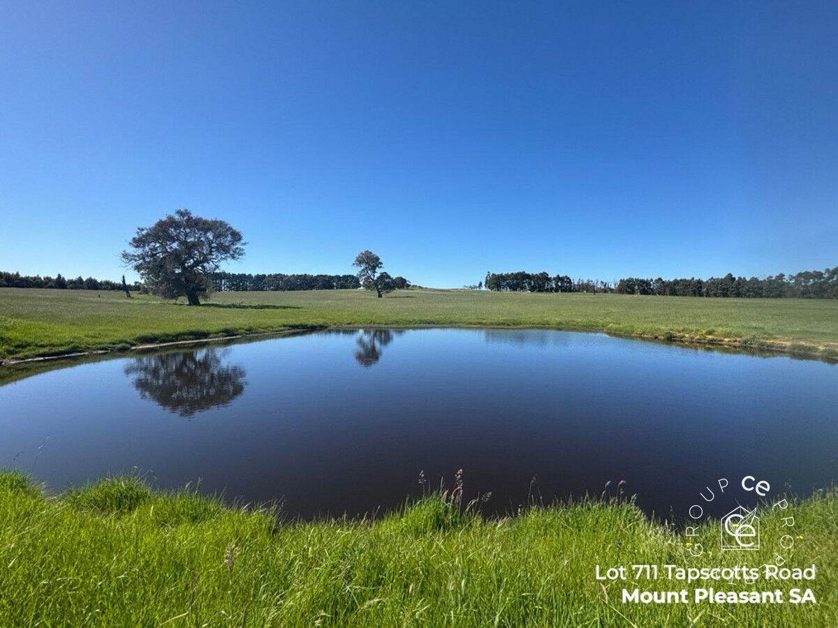 Lot 711 Tapscotts Road, Mount Pleasant For Sale by Farmbuy.com - image 9