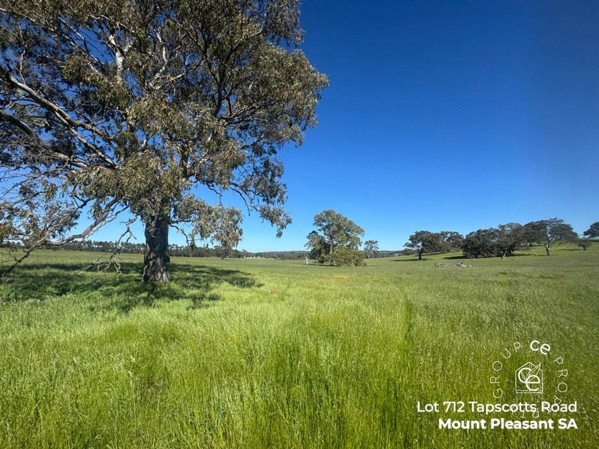 Lot 711 Tapscotts Road, Mount Pleasant For Sale by Farmbuy.com - image 19