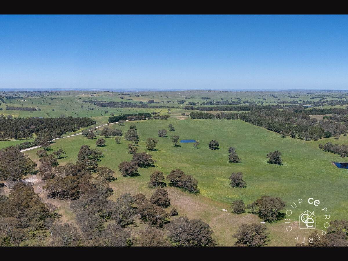 Lot 711 Tapscotts Road, Mount Pleasant For Sale by Farmbuy.com - image 25