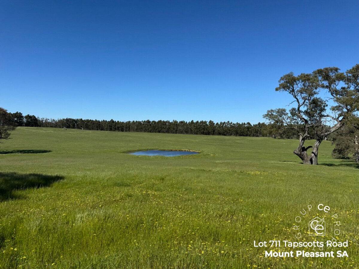 Lot 711 Tapscotts Road, Mount Pleasant For Sale by Farmbuy.com - image 10
