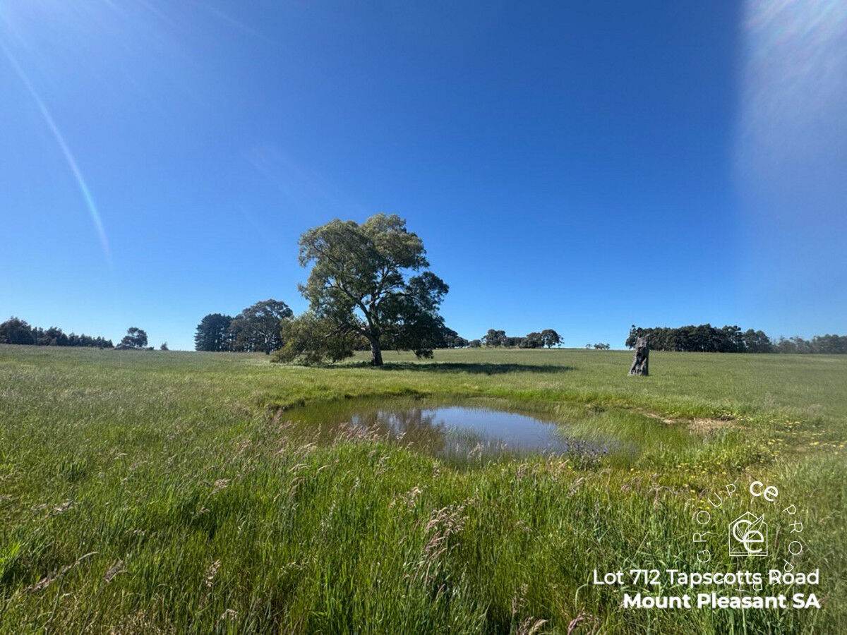 Lot 711 Tapscotts Road, Mount Pleasant For Sale by Farmbuy.com - image 15