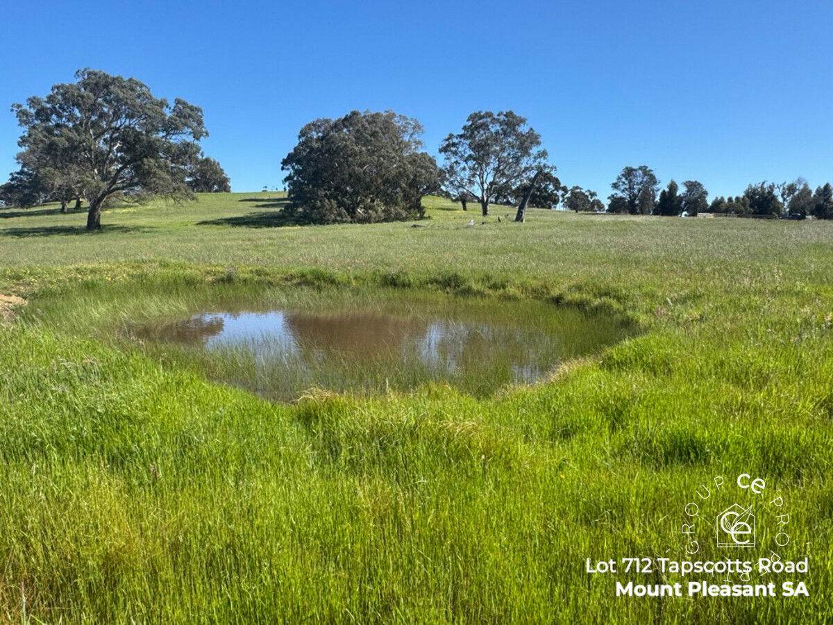 Lot 711 Tapscotts Road, Mount Pleasant For Sale by Farmbuy.com - image 16