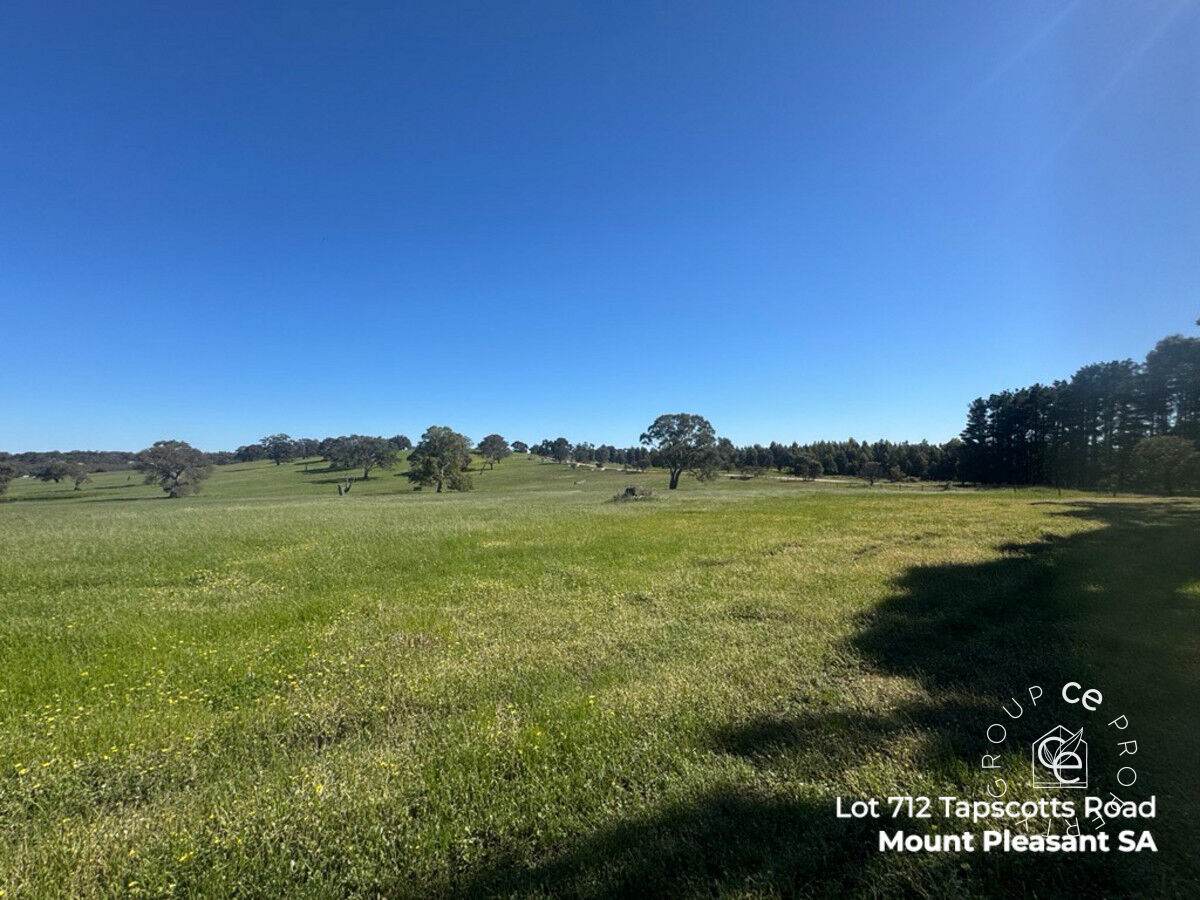 Lot 711 Tapscotts Road, Mount Pleasant For Sale by Farmbuy.com - image 17