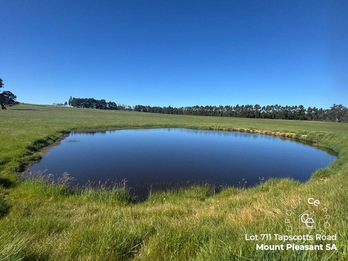 Lot 711 Tapscotts Road, Mount Pleasant For Sale by Farmbuy.com - image 8