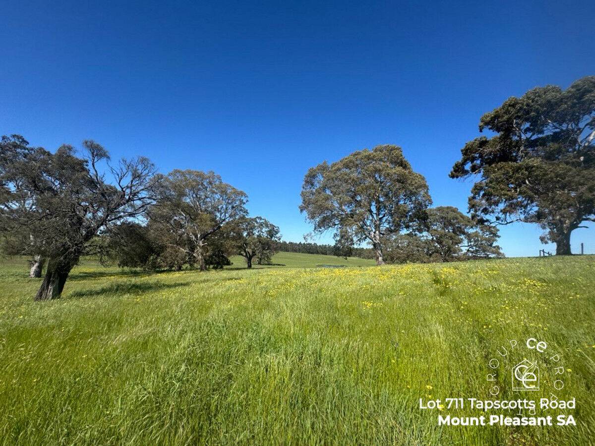 Lot 711 Tapscotts Road, Mount Pleasant For Sale by Farmbuy.com - image 12