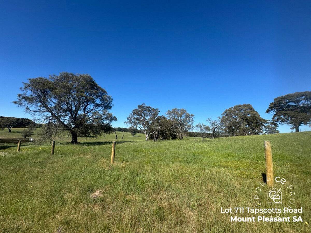 Lot 711 Tapscotts Road, Mount Pleasant For Sale by Farmbuy.com - image 13