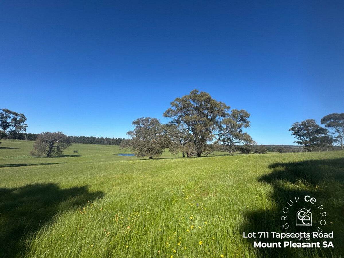 Lot 711 Tapscotts Road, Mount Pleasant For Sale by Farmbuy.com - image 11