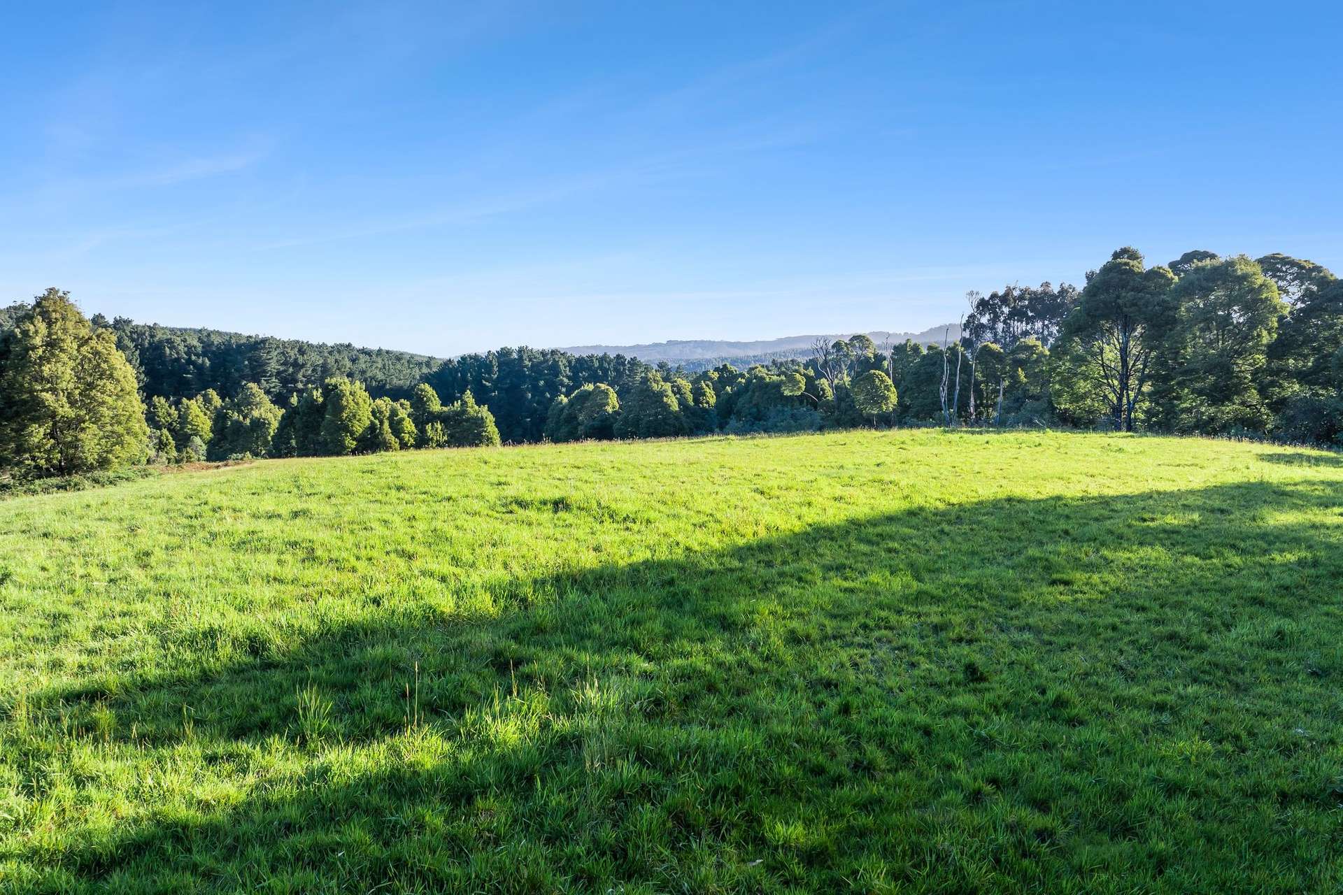 260 Amiets Road, Wyelangta Auction by Farmbuy.com - image 16