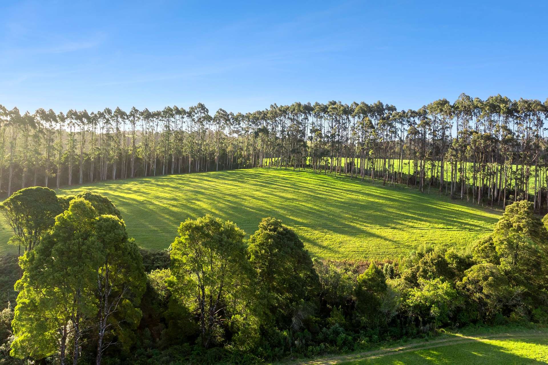 260 Amiets Road, Wyelangta Auction by Farmbuy.com - image 14