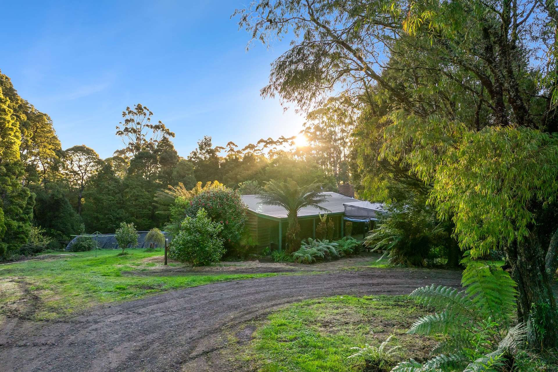 260 Amiets Road, Wyelangta Auction by Farmbuy.com - image 5