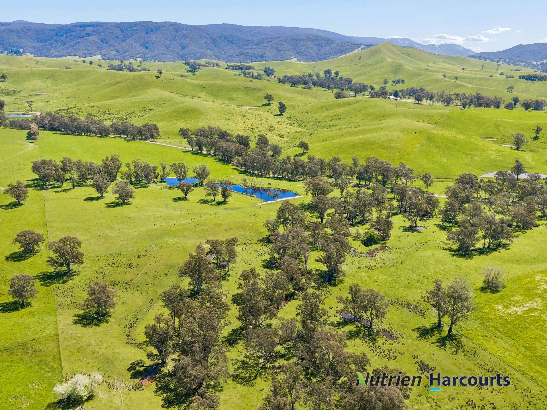 61 Guymers Road, Homewood For Sale by Farmbuy.com - image 22