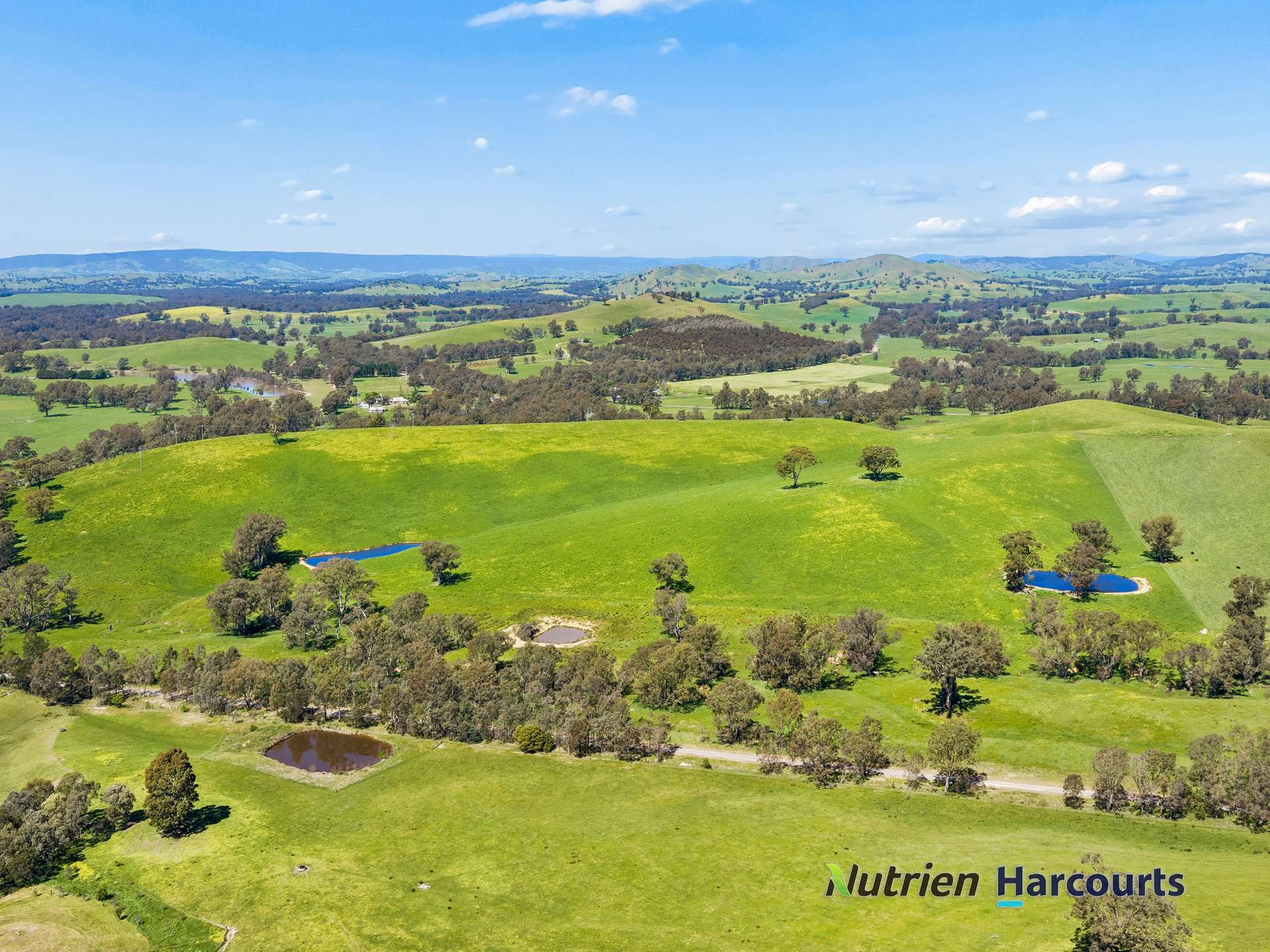 61 Guymers Road, Homewood For Sale by Farmbuy.com - image 11