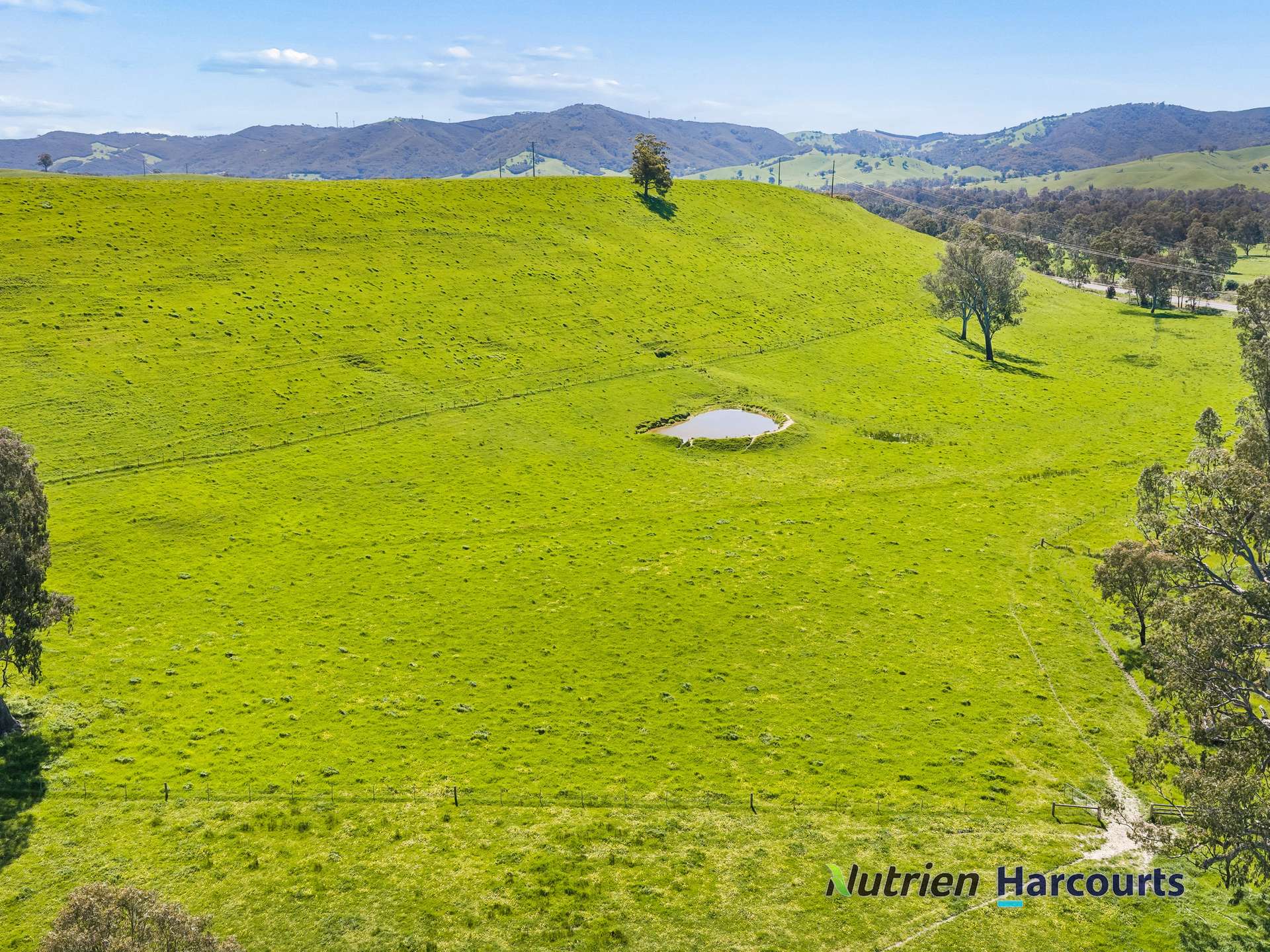 61 Guymers Road, Homewood For Sale by Farmbuy.com - image 13