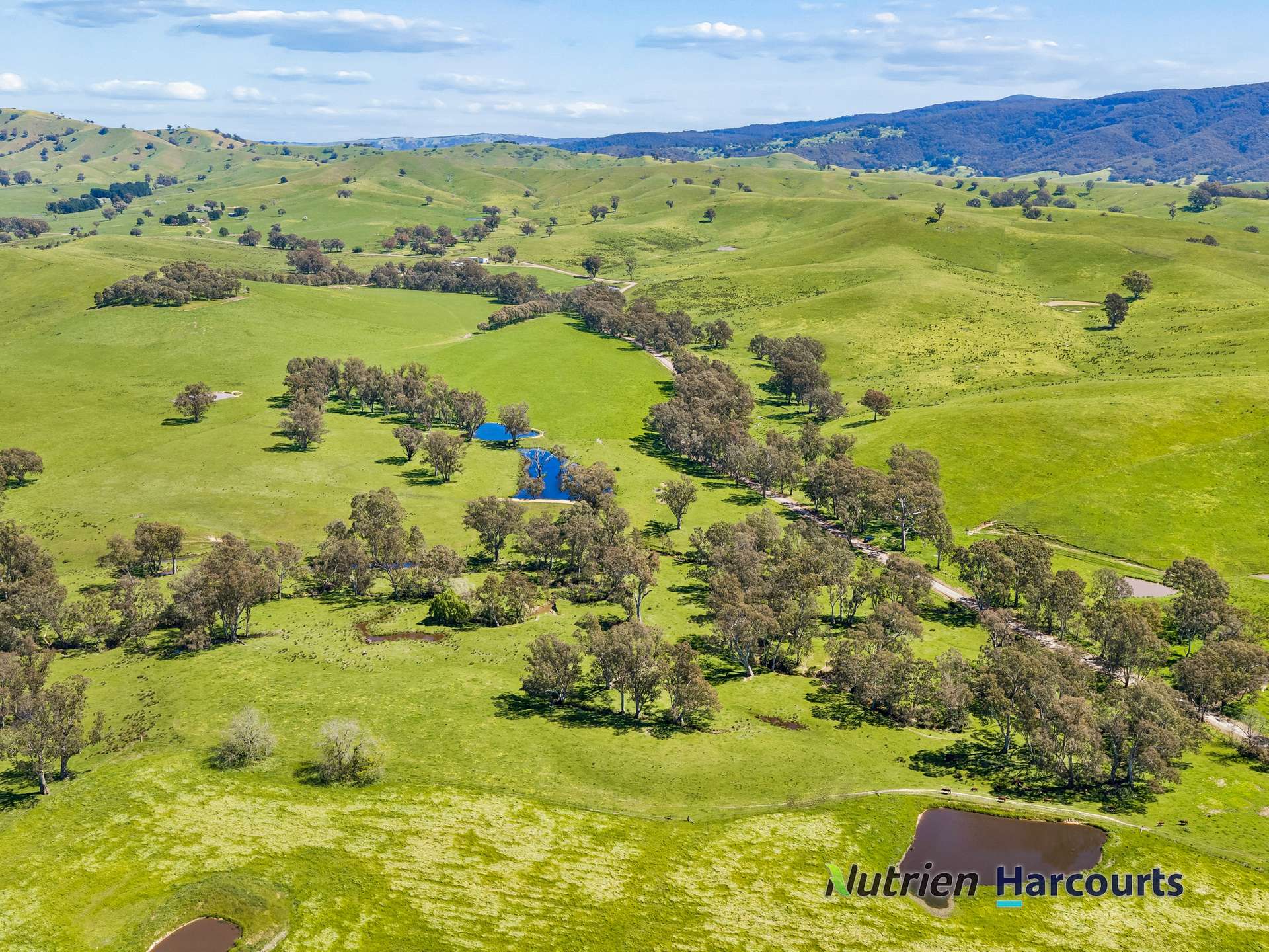 61 Guymers Road, Homewood For Sale by Farmbuy.com - image 21