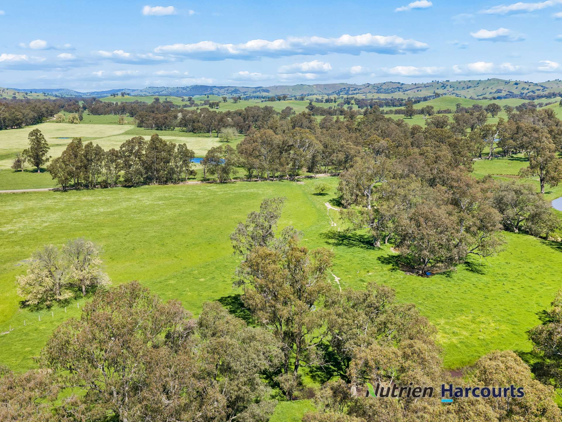61 Guymers Road, Homewood For Sale by Farmbuy.com - image 16
