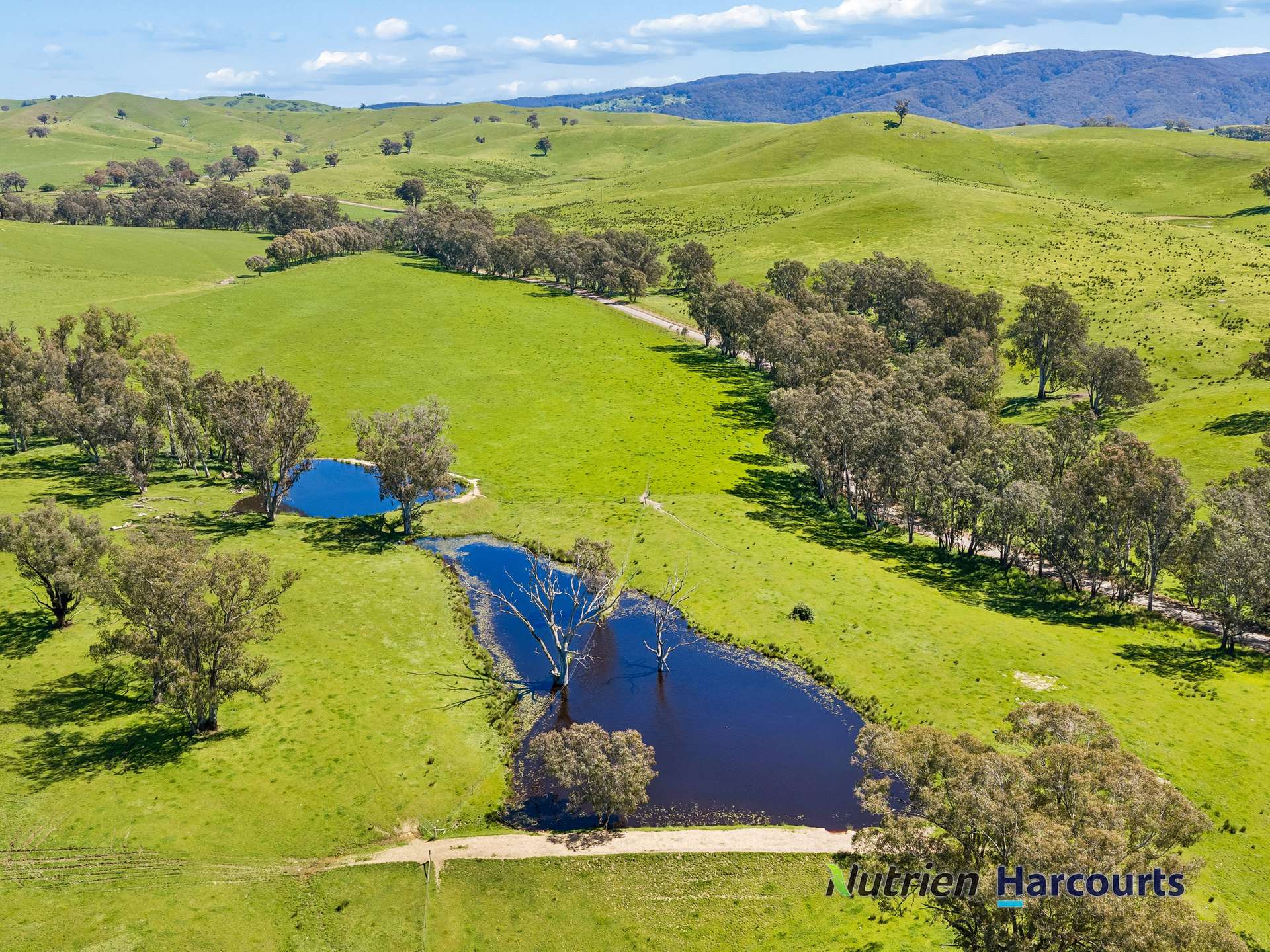 61 Guymers Road, Homewood For Sale by Farmbuy.com - image 18