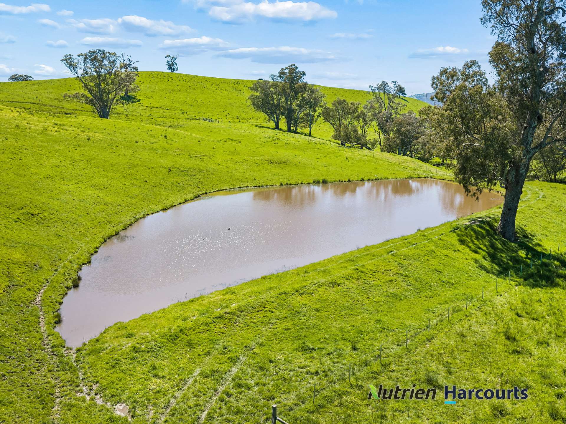 61 Guymers Road, Homewood For Sale by Farmbuy.com - image 10