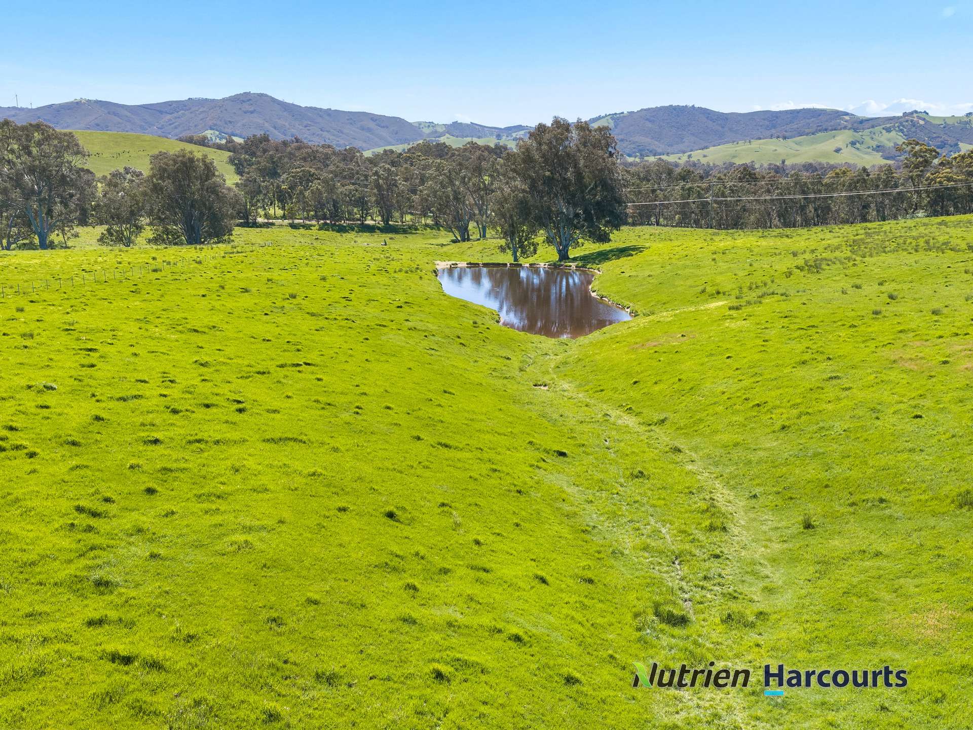 61 Guymers Road, Homewood For Sale by Farmbuy.com - image 7