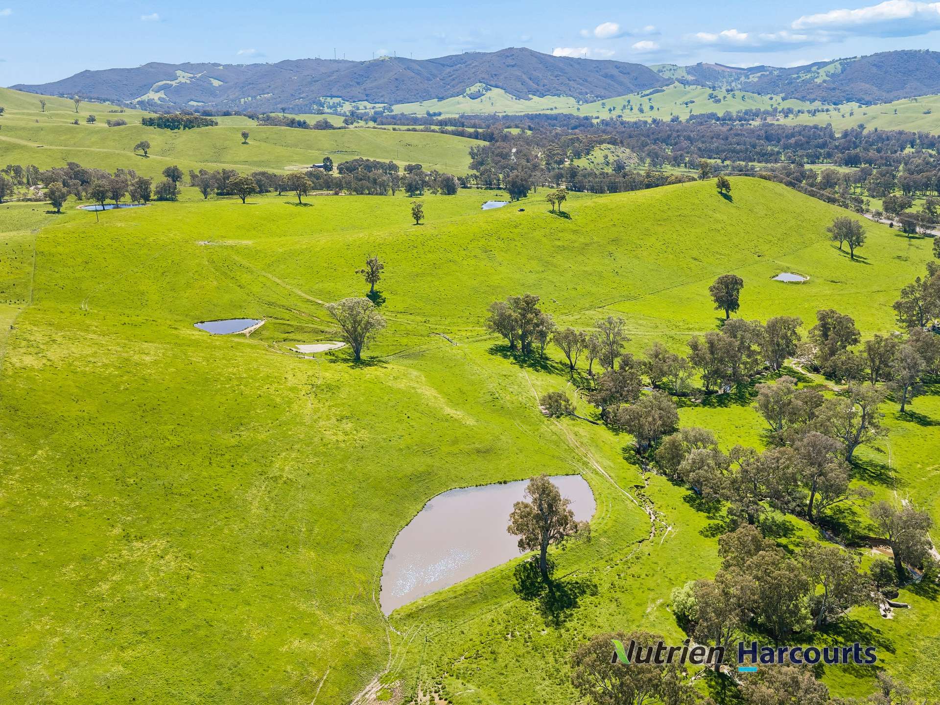 61 Guymers Road, Homewood For Sale by Farmbuy.com - image 1