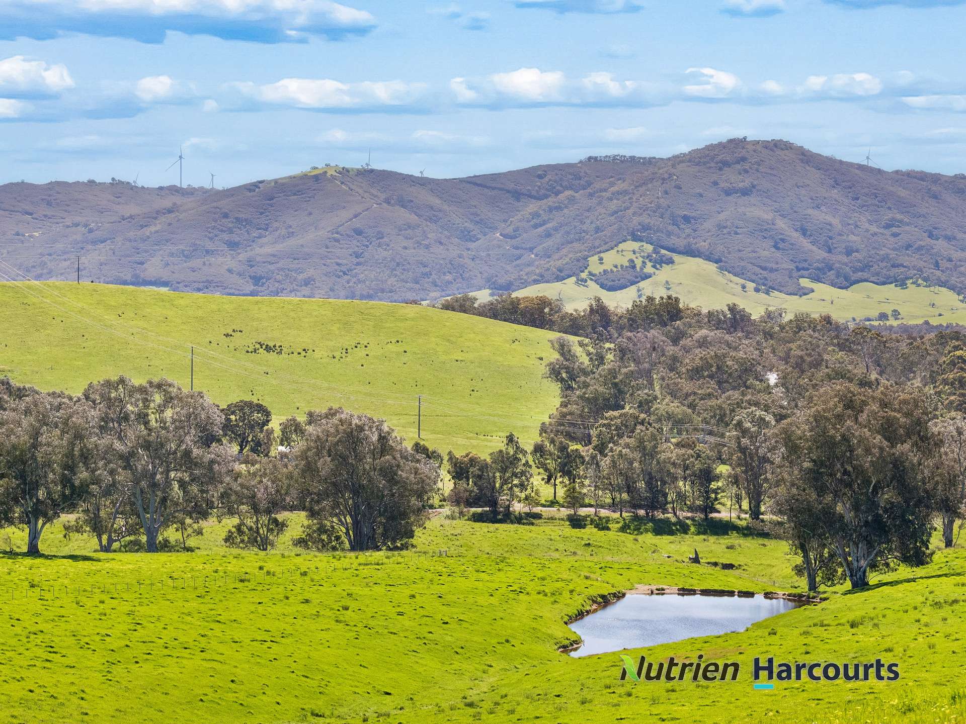 61 Guymers Road, Homewood For Sale by Farmbuy.com - image 3