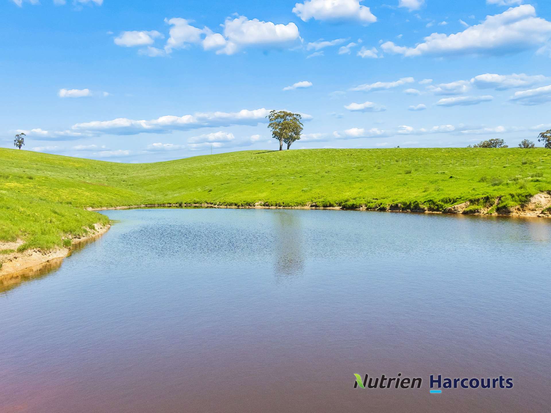 61 Guymers Road, Homewood For Sale by Farmbuy.com - image 6