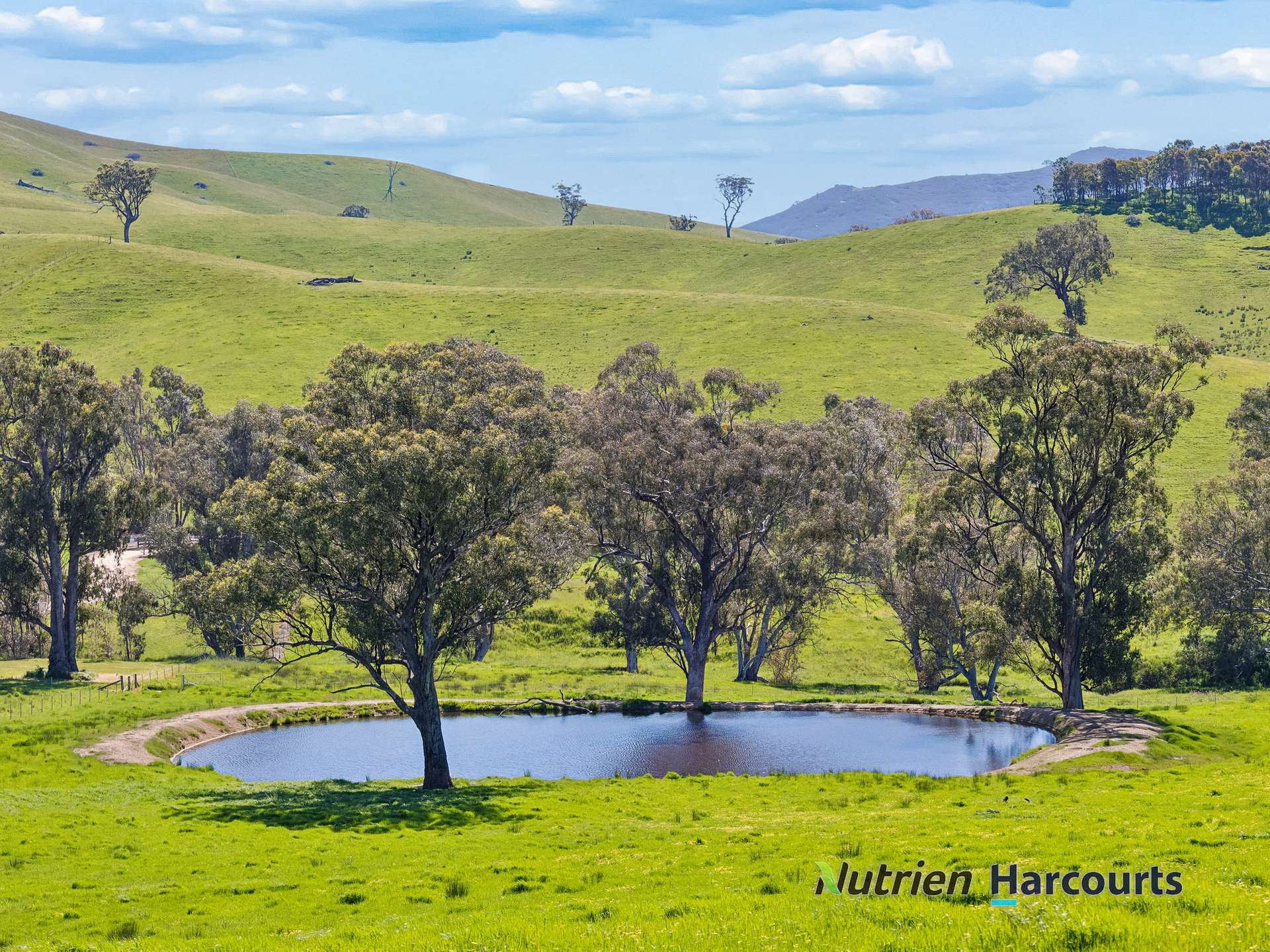 61 Guymers Road, Homewood For Sale by Farmbuy.com - image 2