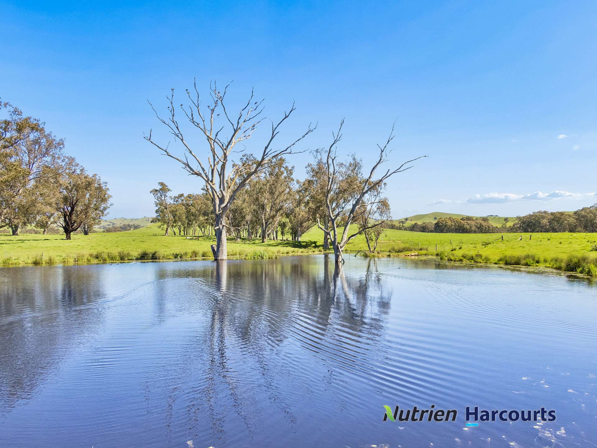 61 Guymers Road, Homewood For Sale by Farmbuy.com - image 4