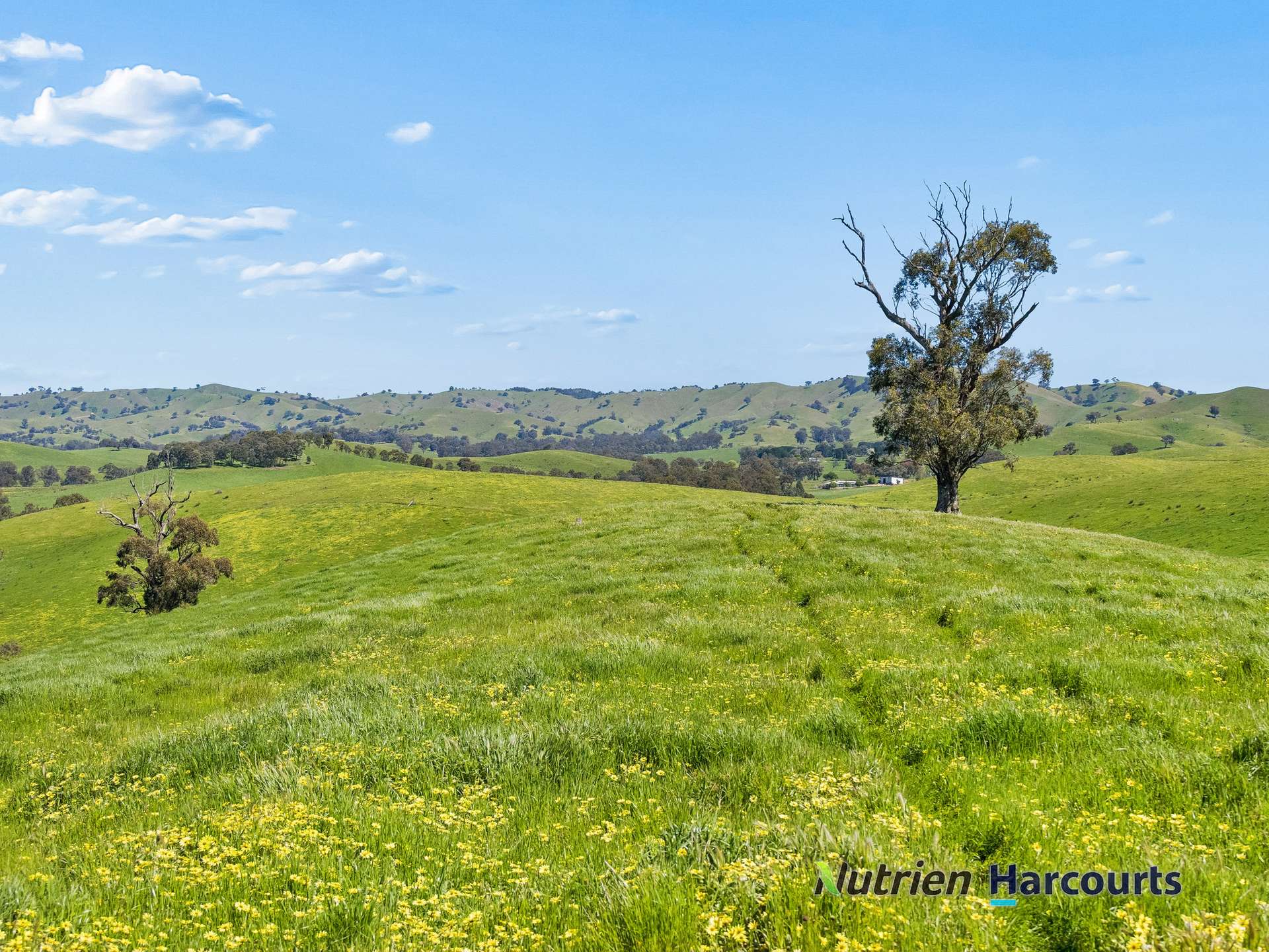 61 Guymers Road, Homewood For Sale by Farmbuy.com - image 9