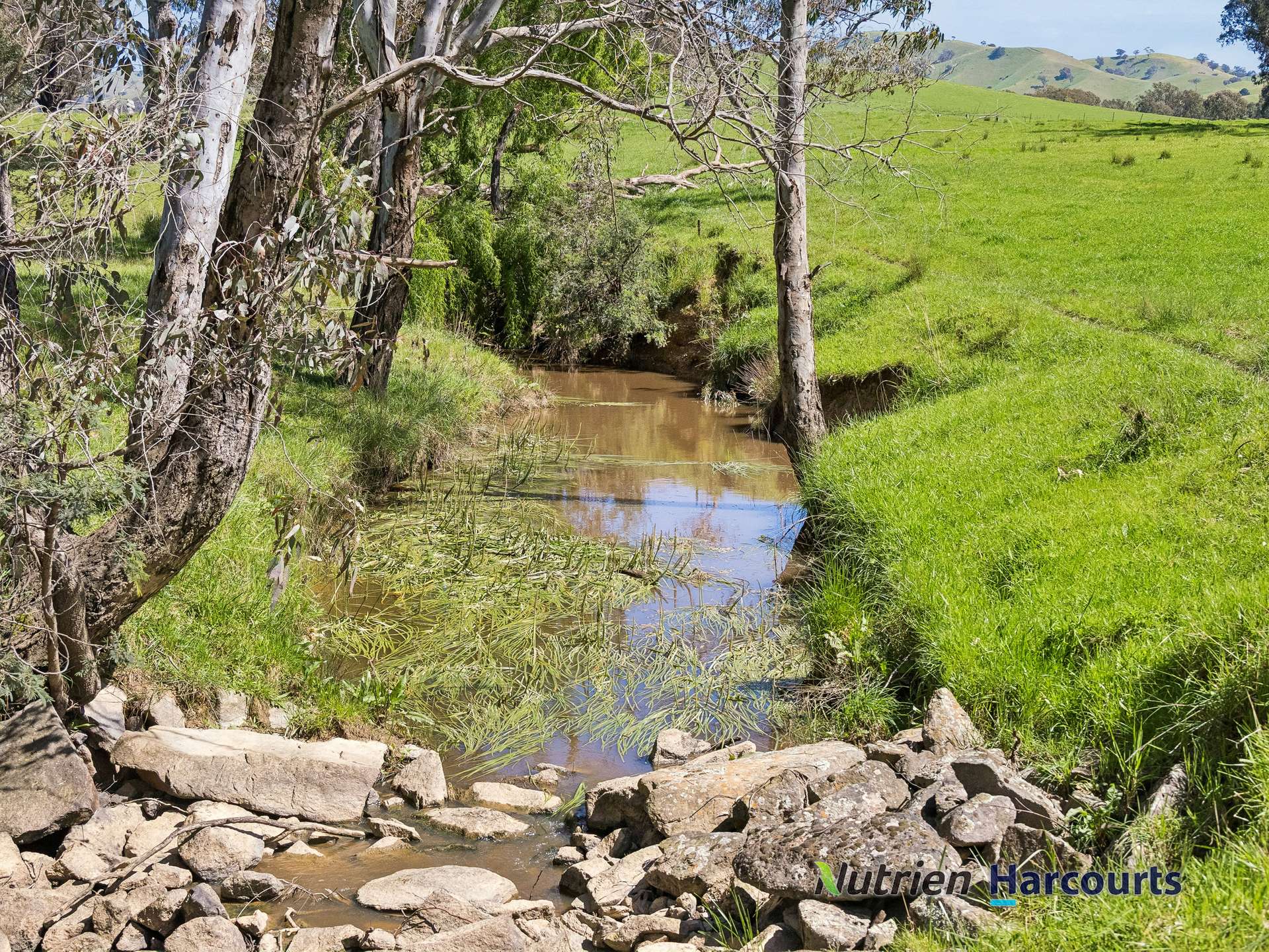 61 Guymers Road, Homewood For Sale by Farmbuy.com - image 25