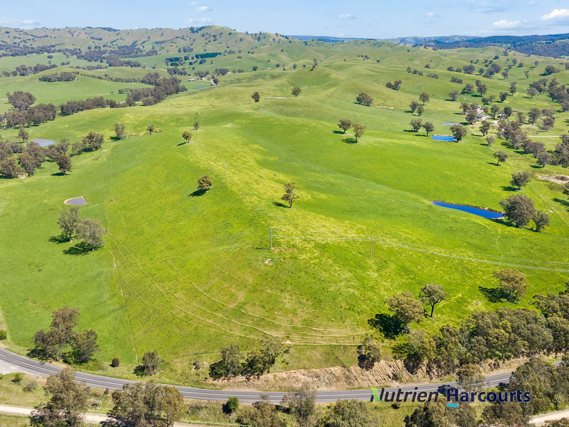 61 Guymers Road, Homewood For Sale by Farmbuy.com - image 12