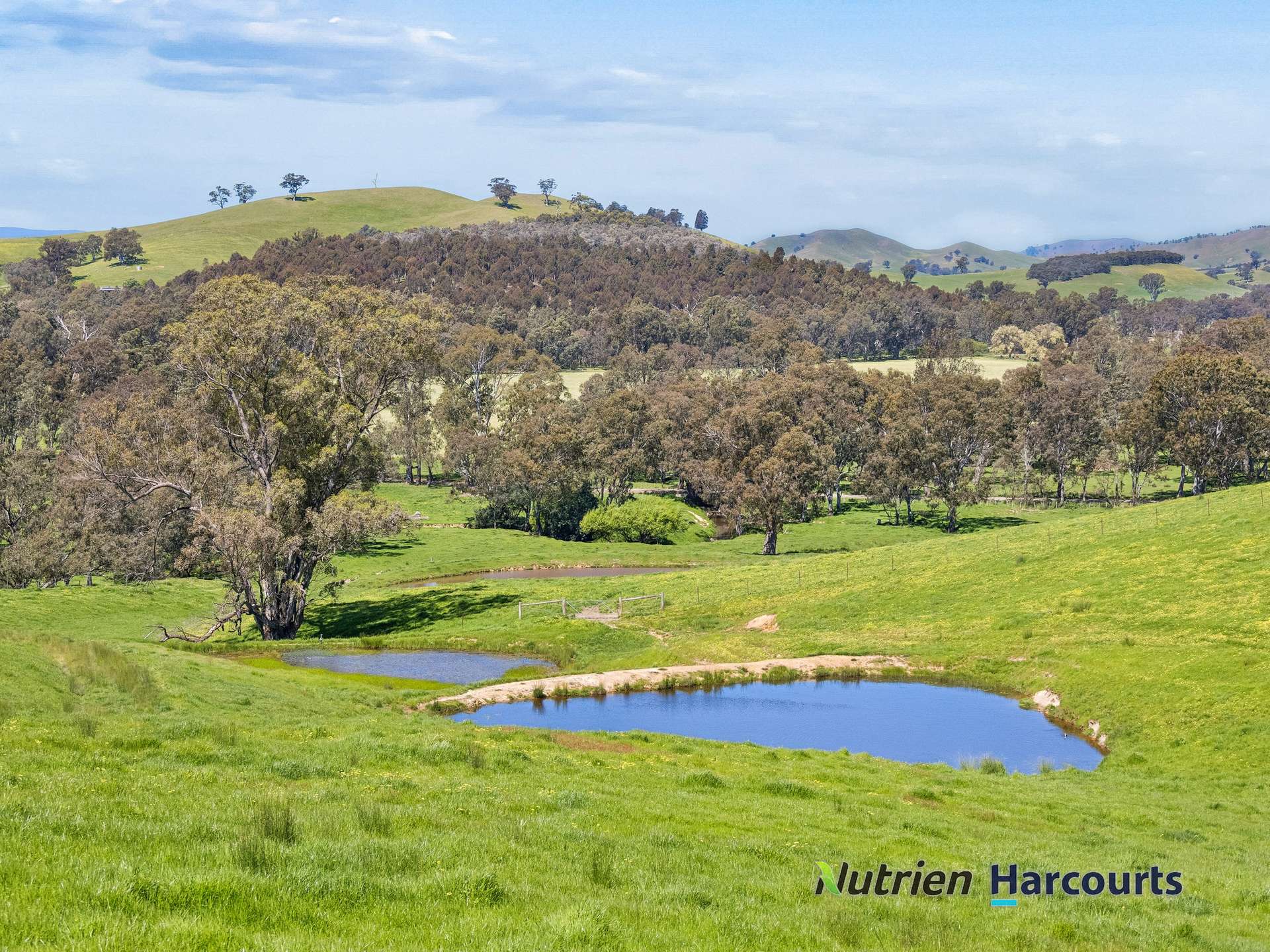 61 Guymers Road, Homewood For Sale by Farmbuy.com - image 8