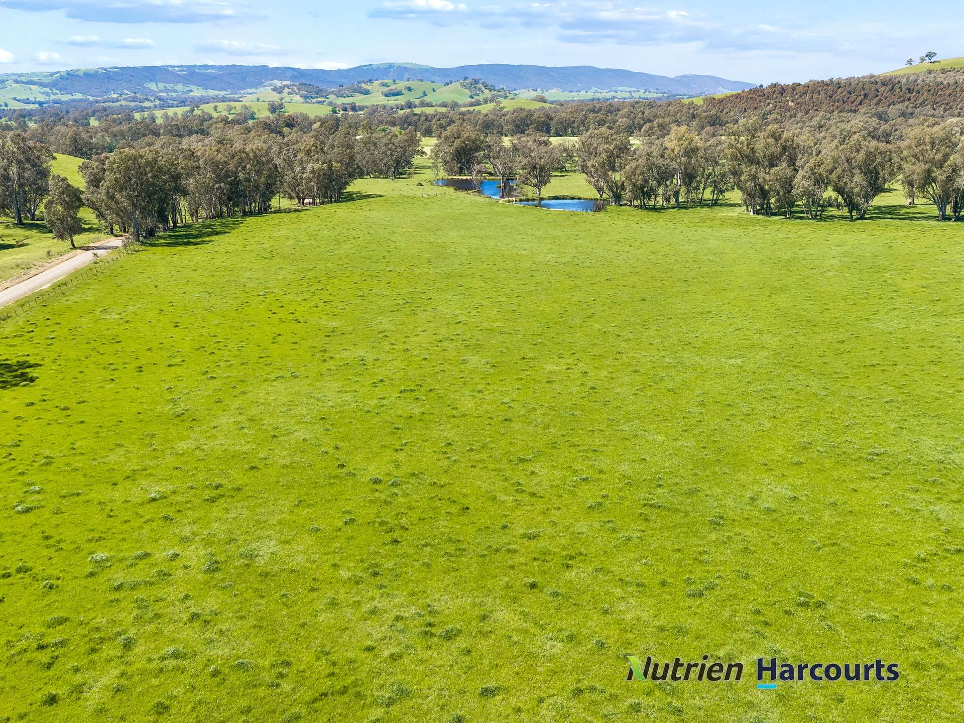 61 Guymers Road, Homewood For Sale by Farmbuy.com - image 20