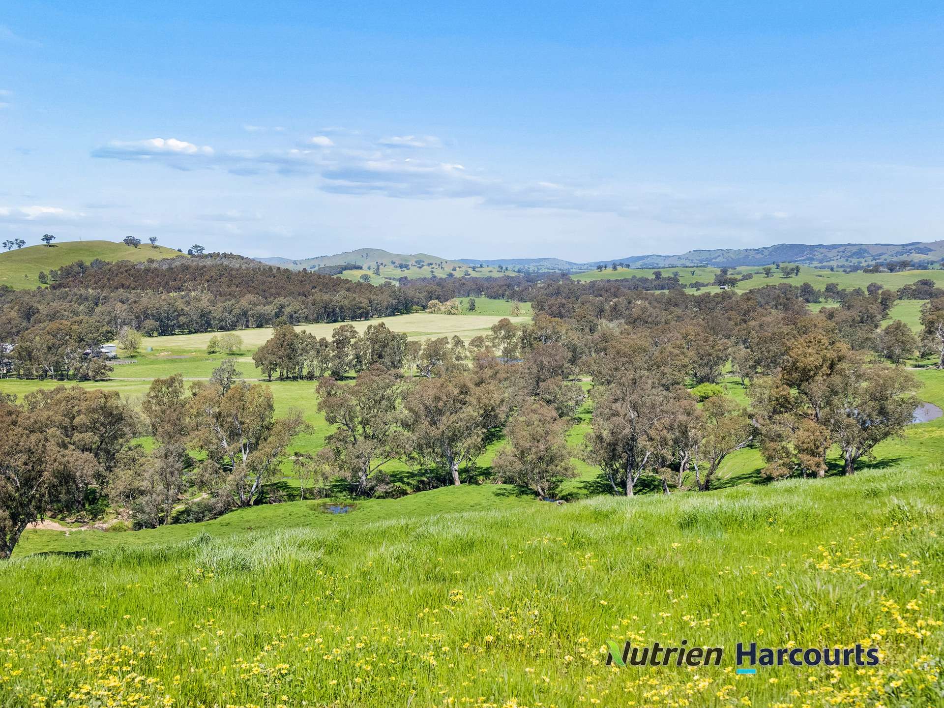 61 Guymers Road, Homewood For Sale by Farmbuy.com - image 23