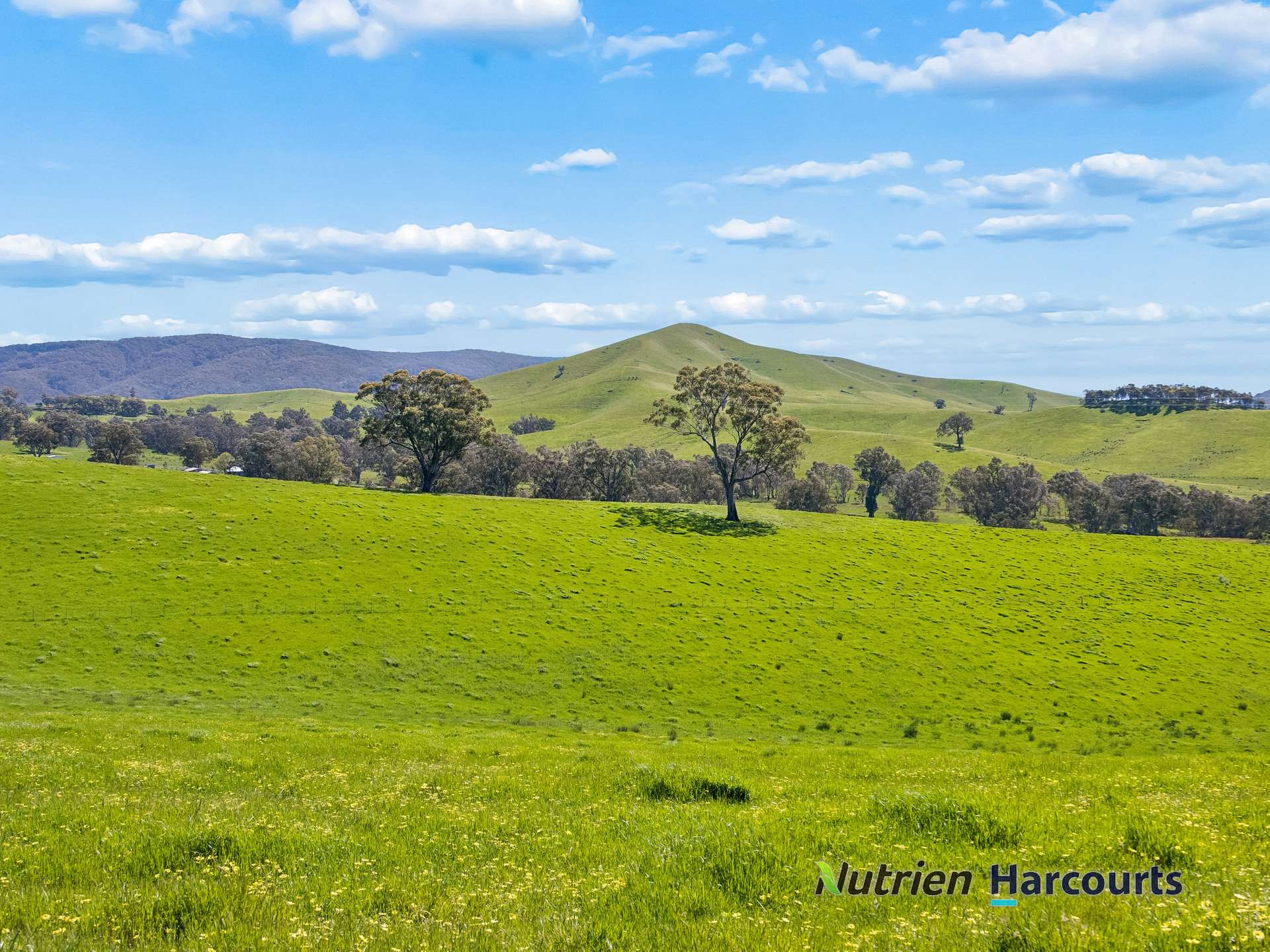 61 Guymers Road, Homewood For Sale by Farmbuy.com - image 5