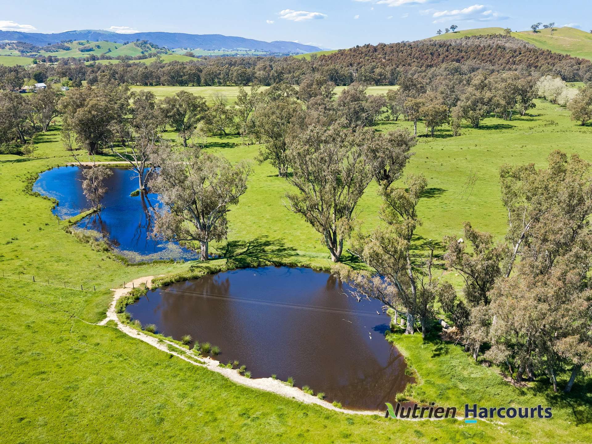 61 Guymers Road, Homewood For Sale by Farmbuy.com - image 19