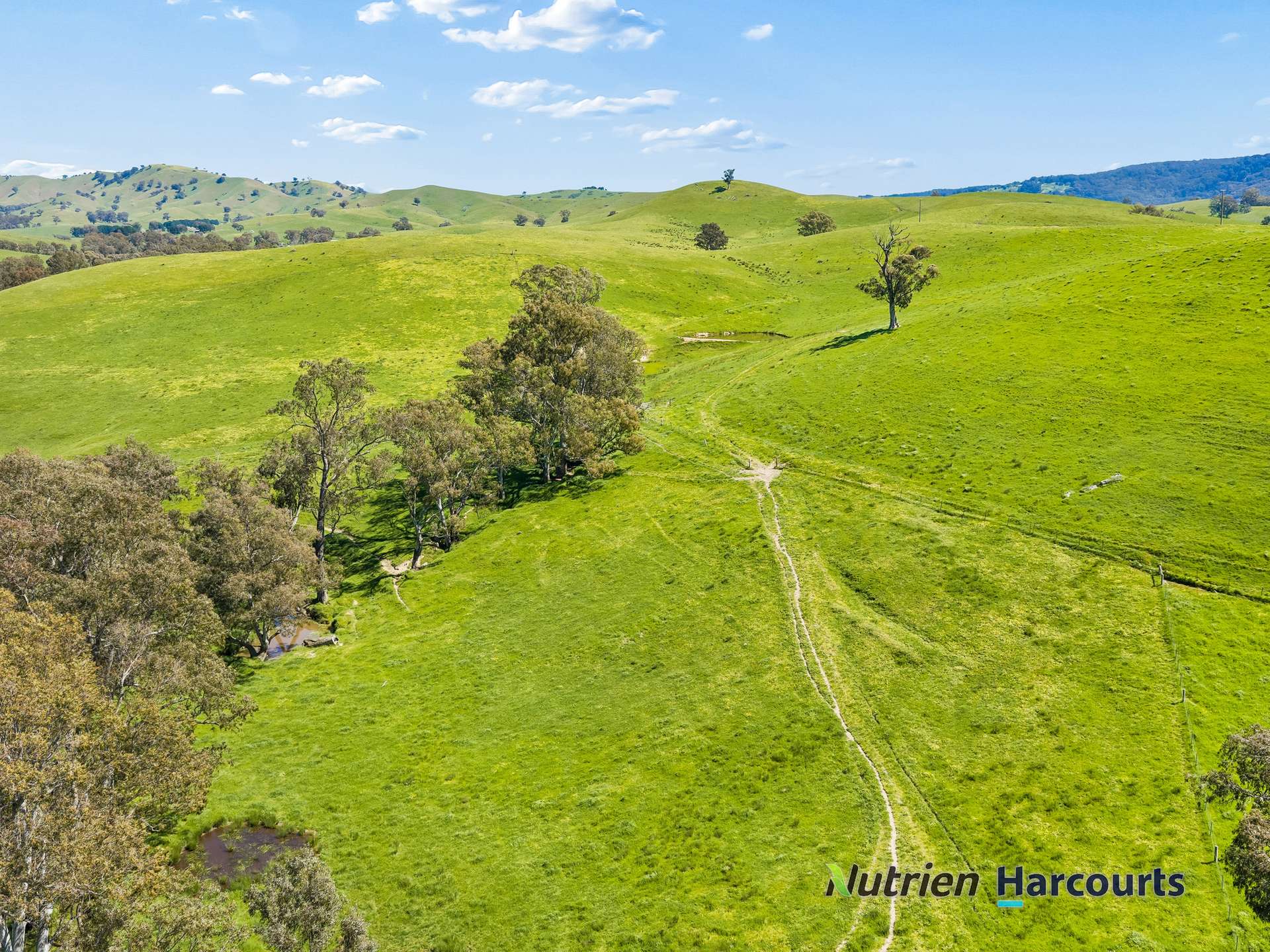 61 Guymers Road, Homewood For Sale by Farmbuy.com - image 15