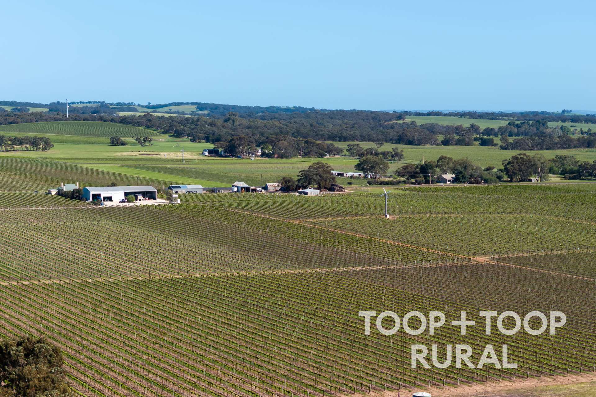 260 Belvidere Road, Nuriootpa For Sale by Farmbuy.com - image 9
