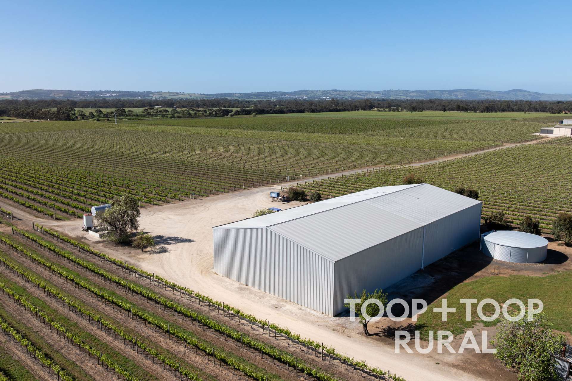 260 Belvidere Road, Nuriootpa For Sale by Farmbuy.com - image 19