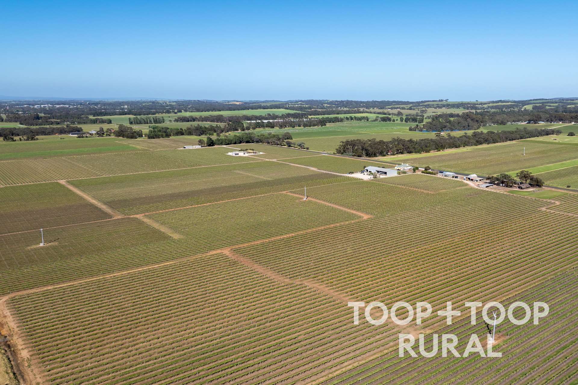260 Belvidere Road, Nuriootpa For Sale by Farmbuy.com - image 25