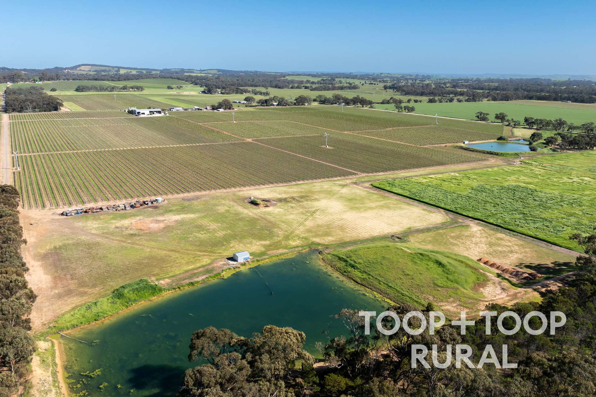 260 Belvidere Road, Nuriootpa For Sale by Farmbuy.com - image 24