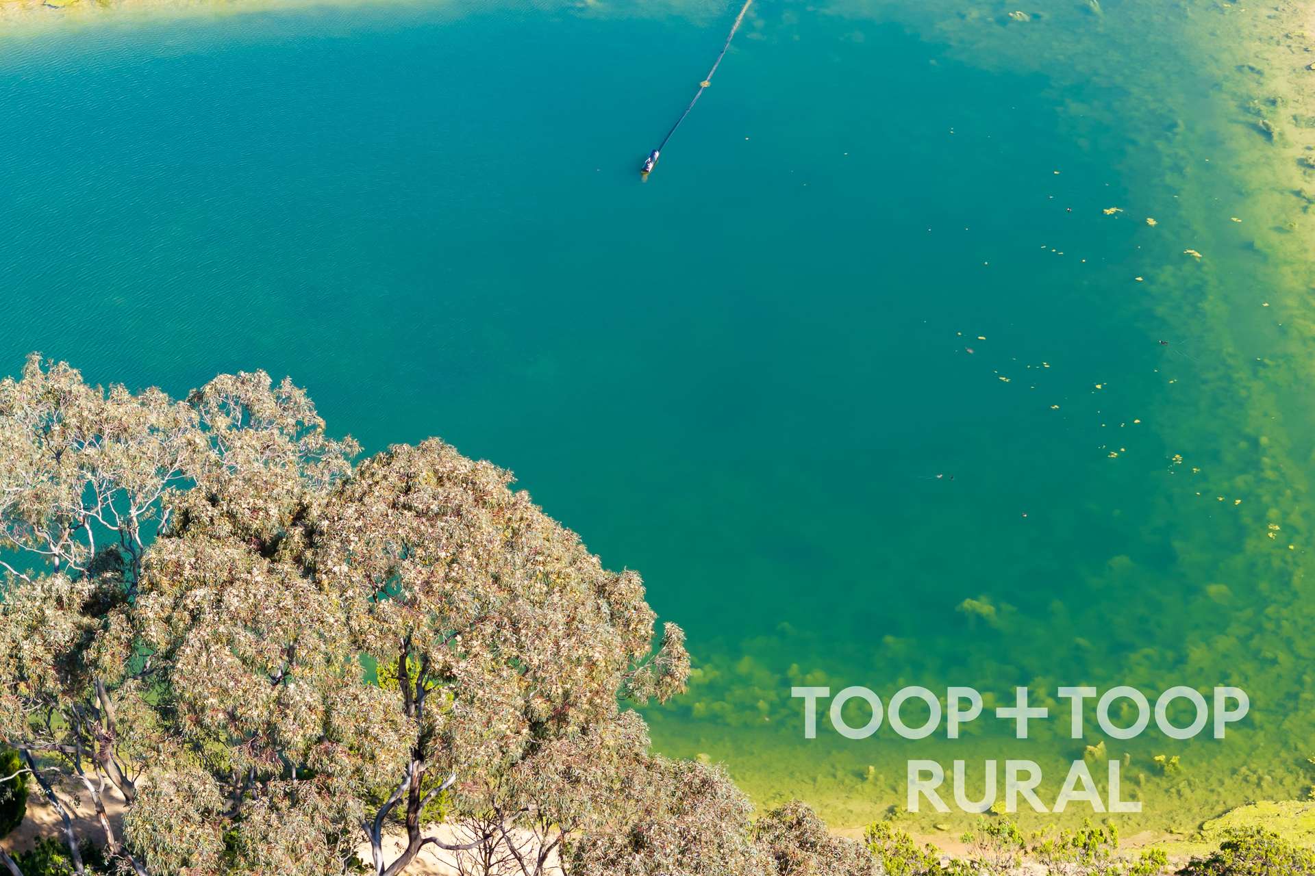 260 Belvidere Road, Nuriootpa For Sale by Farmbuy.com - image 21