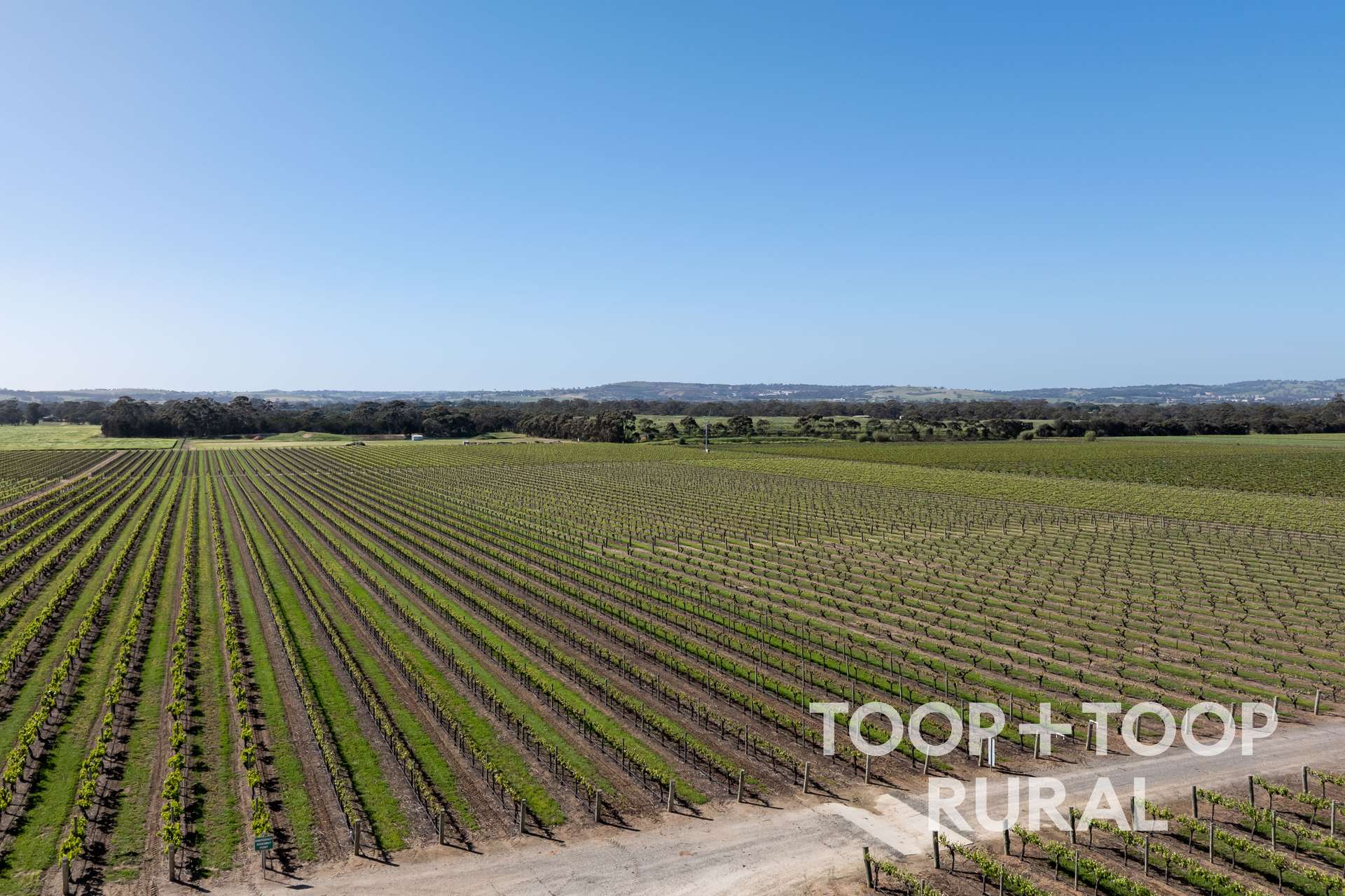 260 Belvidere Road, Nuriootpa For Sale by Farmbuy.com - image 17