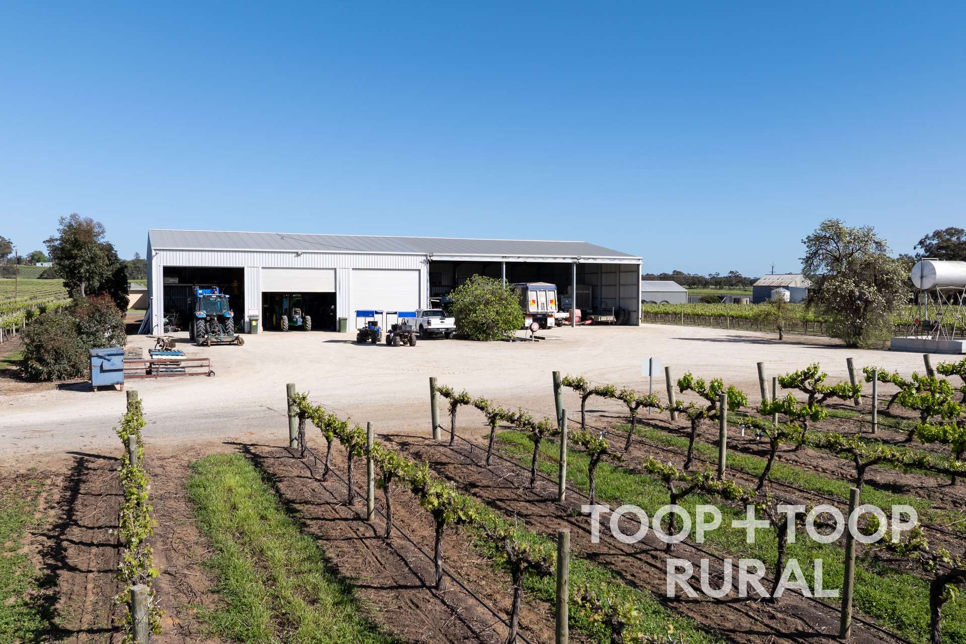 260 Belvidere Road, Nuriootpa For Sale by Farmbuy.com - image 7