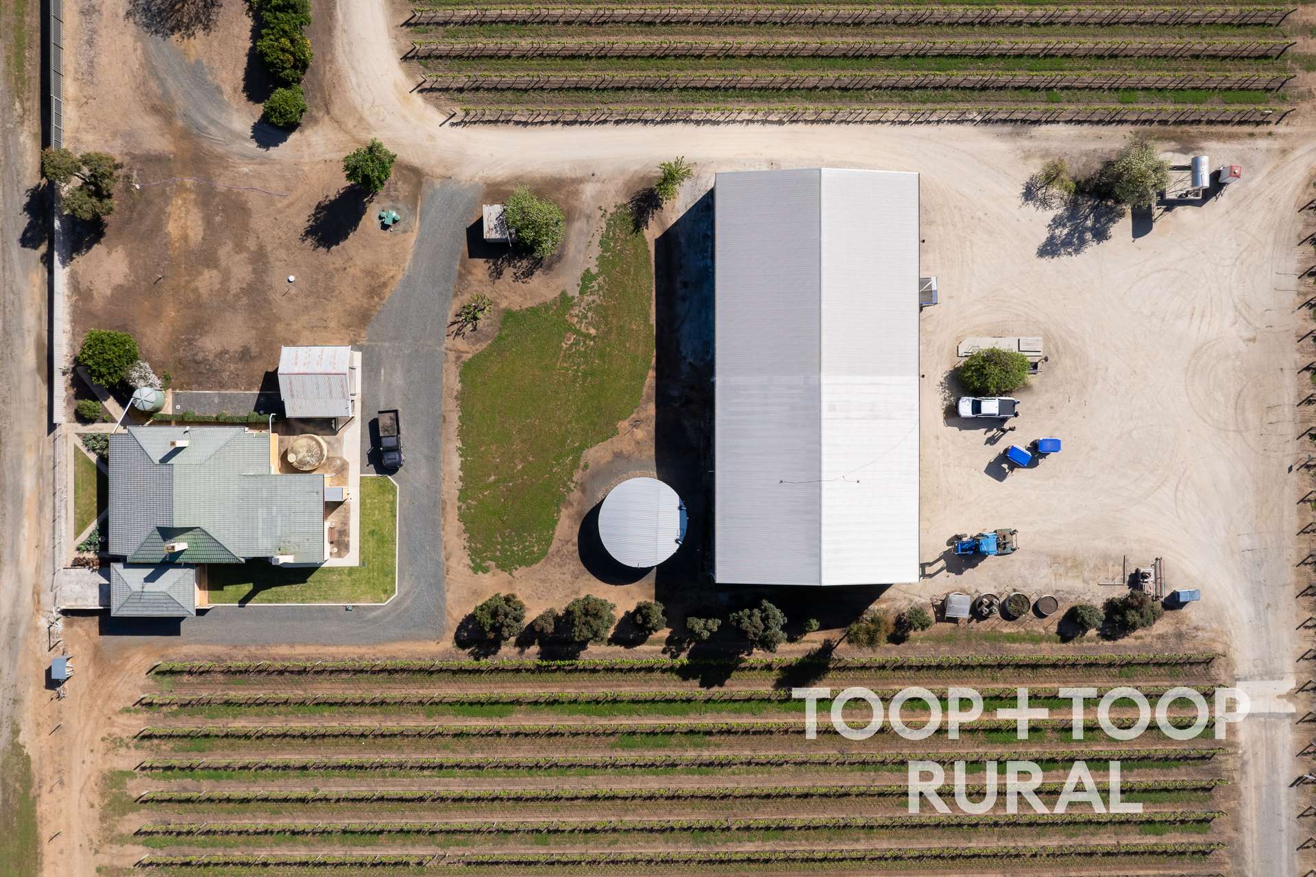 260 Belvidere Road, Nuriootpa For Sale by Farmbuy.com - image 15
