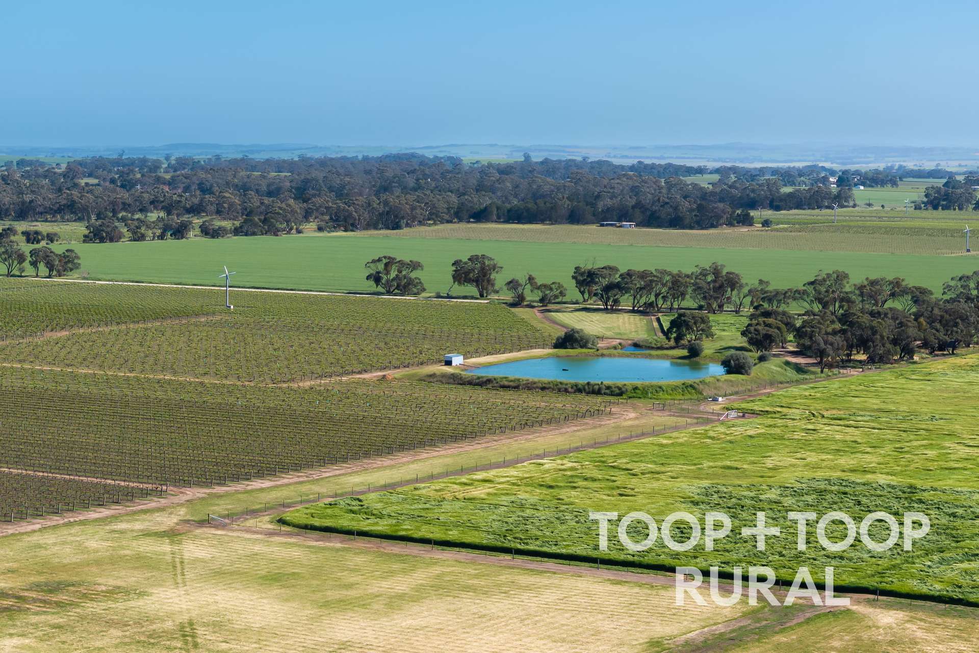 260 Belvidere Road, Nuriootpa For Sale by Farmbuy.com - image 22