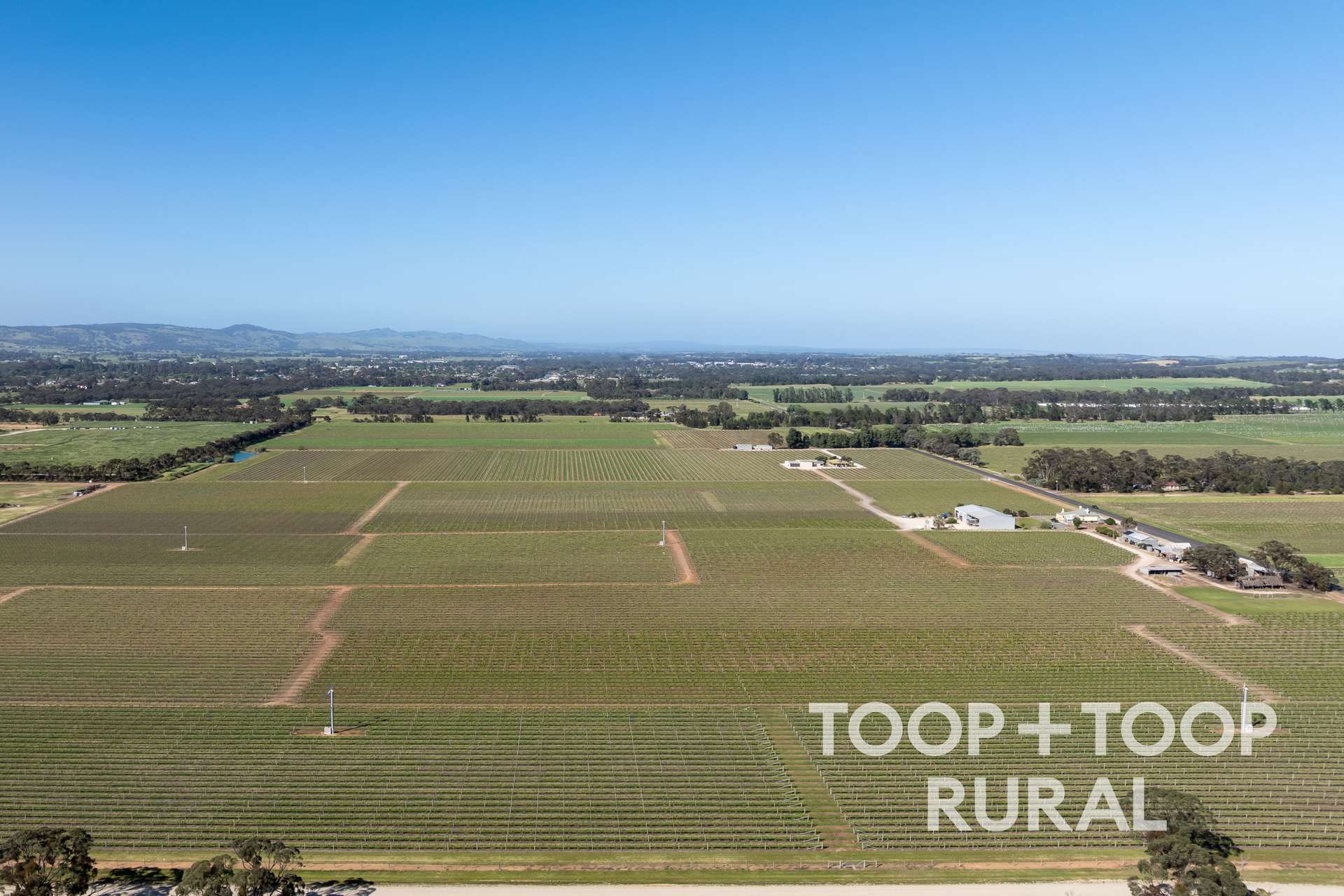 260 Belvidere Road, Nuriootpa For Sale by Farmbuy.com - image 26