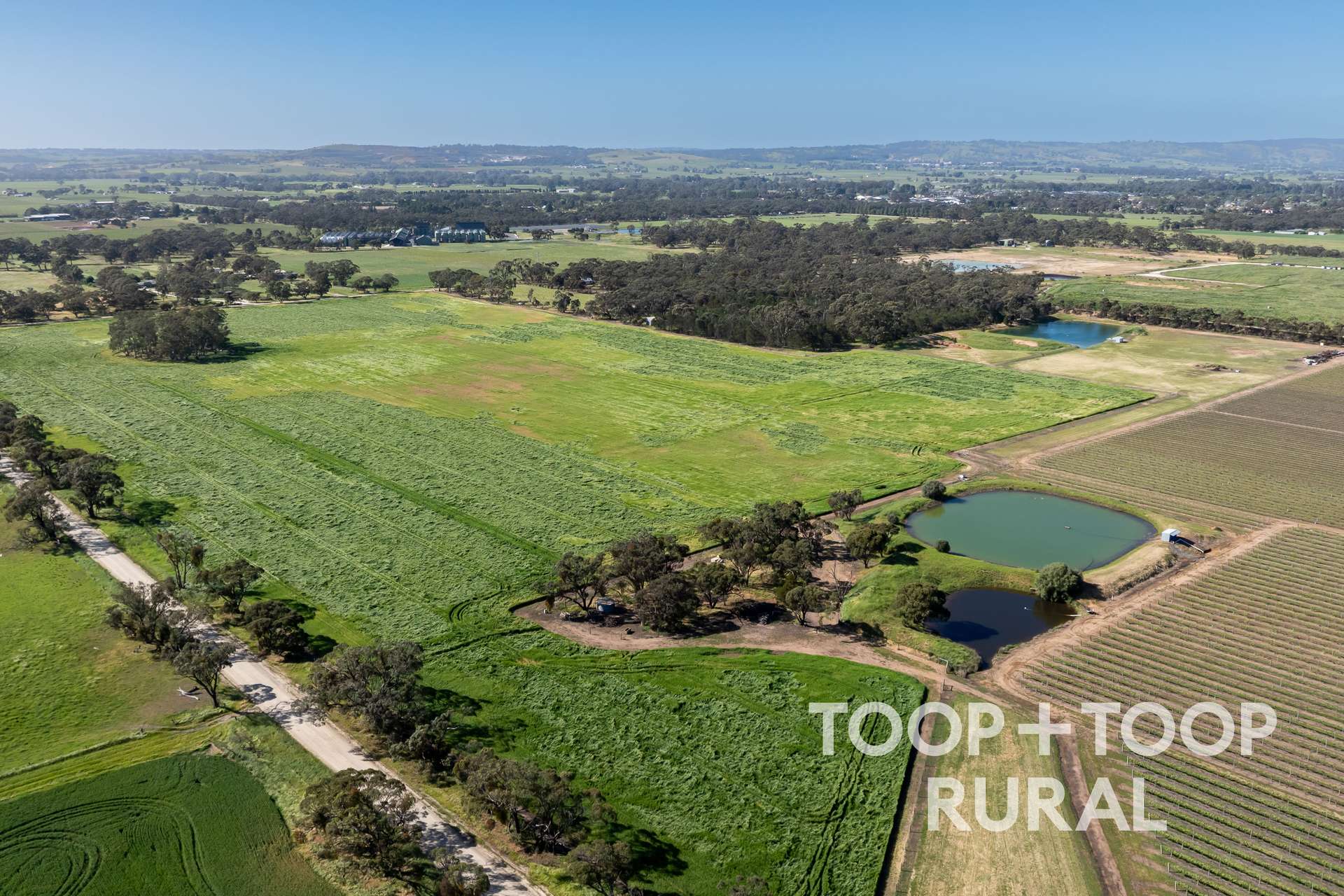 260 Belvidere Road, Nuriootpa For Sale by Farmbuy.com - image 4