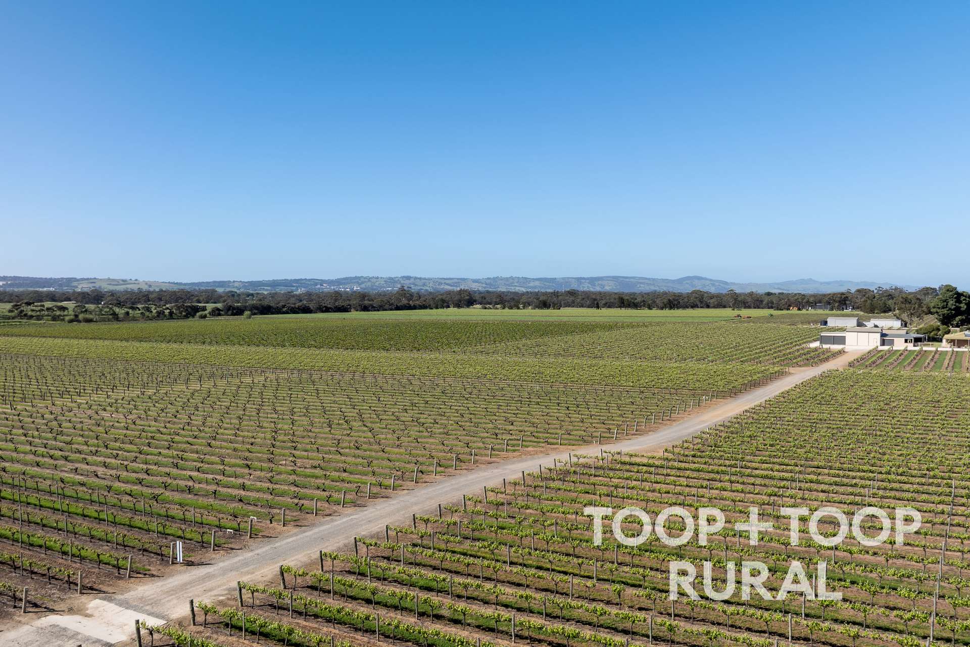 260 Belvidere Road, Nuriootpa For Sale by Farmbuy.com - image 18