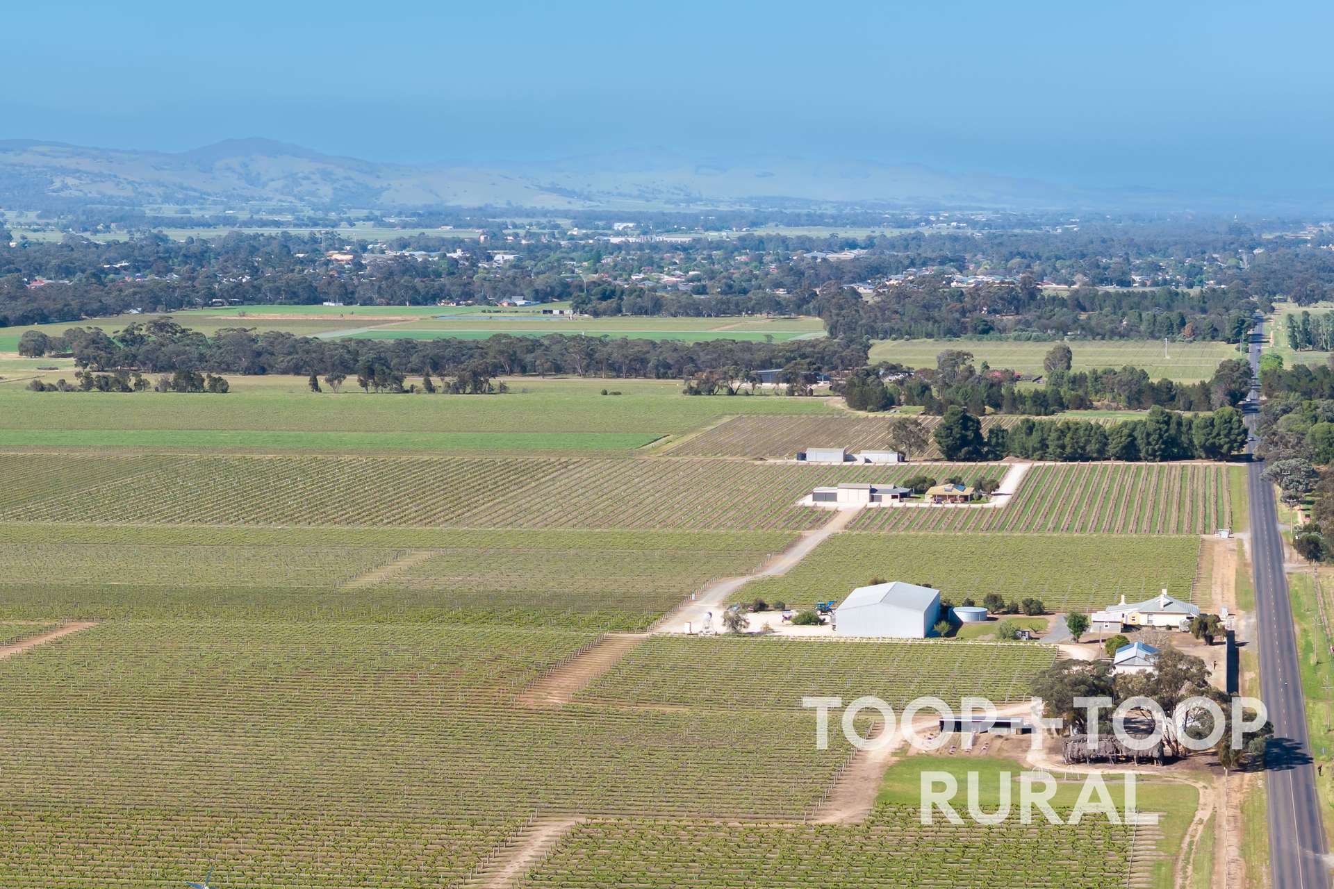 260 Belvidere Road, Nuriootpa For Sale by Farmbuy.com - image 27